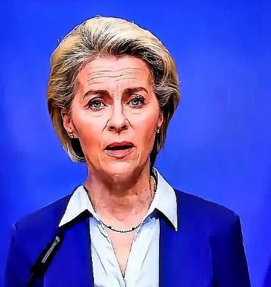 有人当着冯德莱恩的面，抛出了个让她瞬间卡壳的问题，简直像给运行中的系统来了记强制