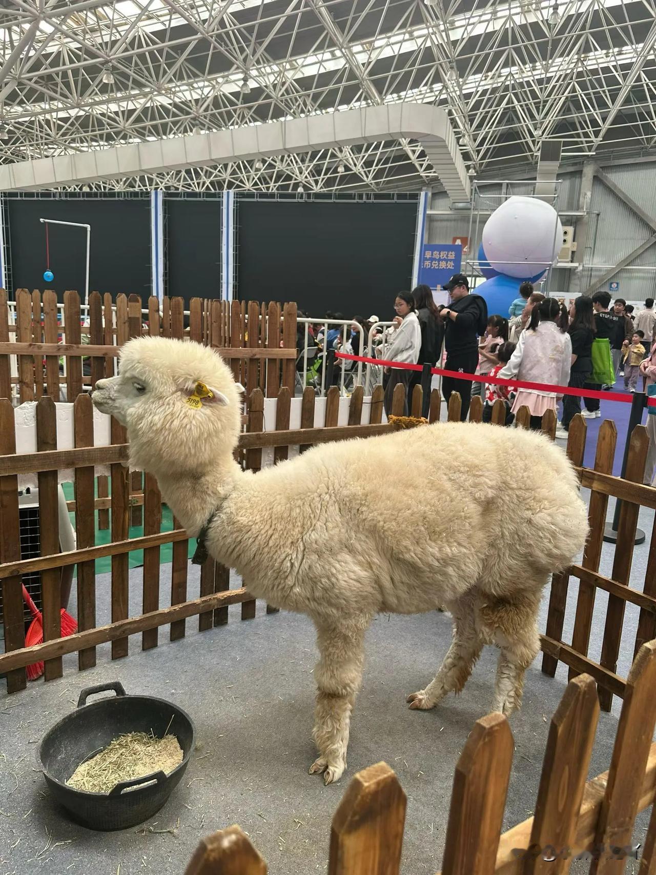 我见过有实力的男人娶的老婆都漂亮又瘦，没啥能力的才会找胖胖的。不管男人女人，都不