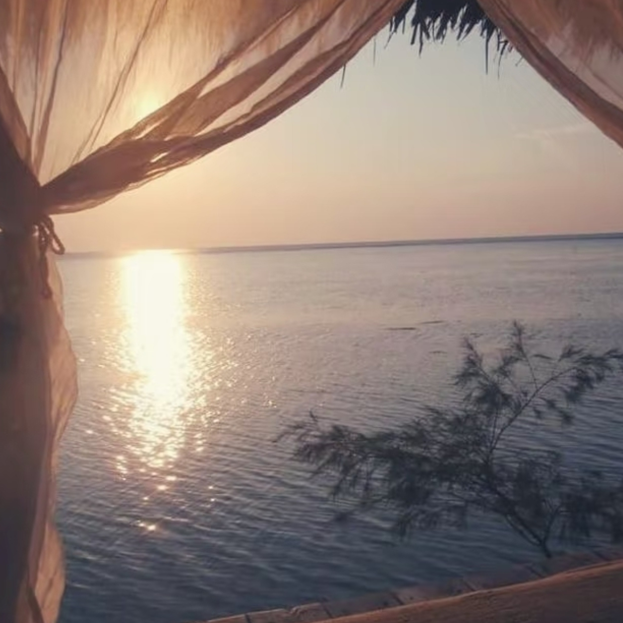 𝗩𝗦𝗜𝗢𝗡 ●头像·背景图·氛围感 𐂂 