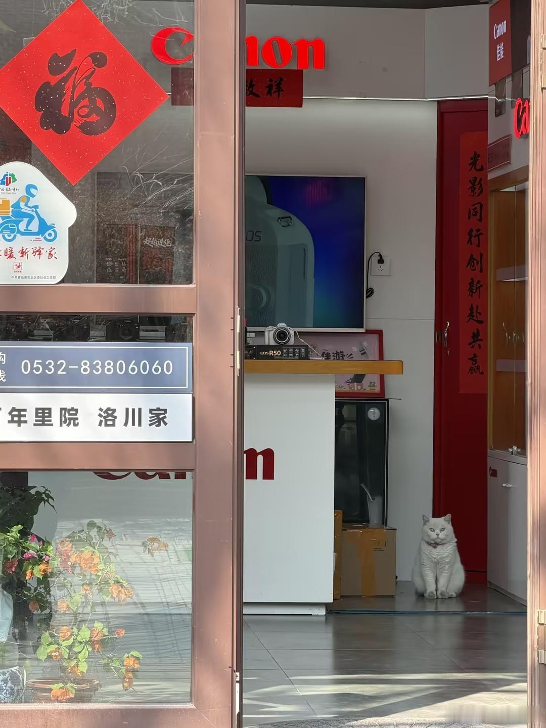走访市场，收获往往不只在交易谈判之间：一线调研能摸准市场风向、掌握消费者需求，途