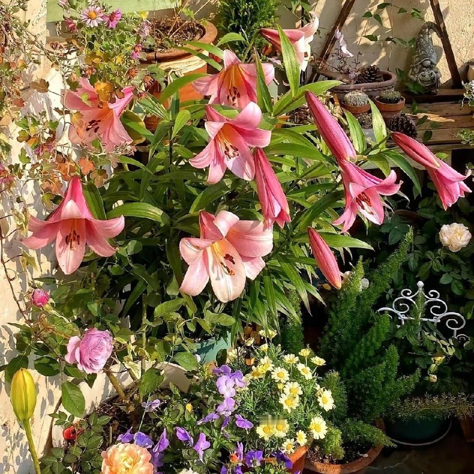 楼下56岁的张姐，退休刚满一年，旁人看着是整片小区最享福的人，可只有贴邻的街坊知