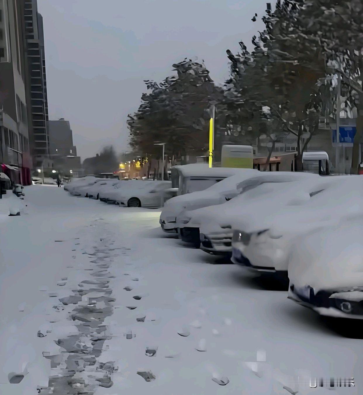 往年“三九四九”的规律被彻底打破。十二月到一月中旬，多地暖得破了纪录，阳光恍惚有