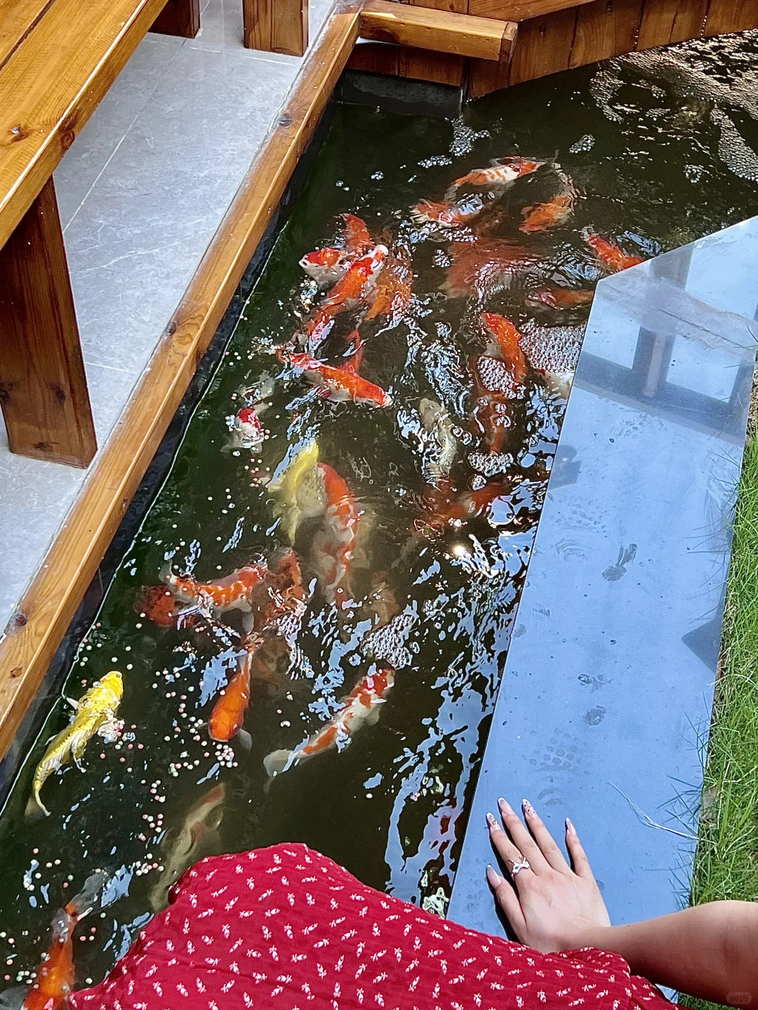 刚从阳澄湖回来。。后劲真的好大！！！