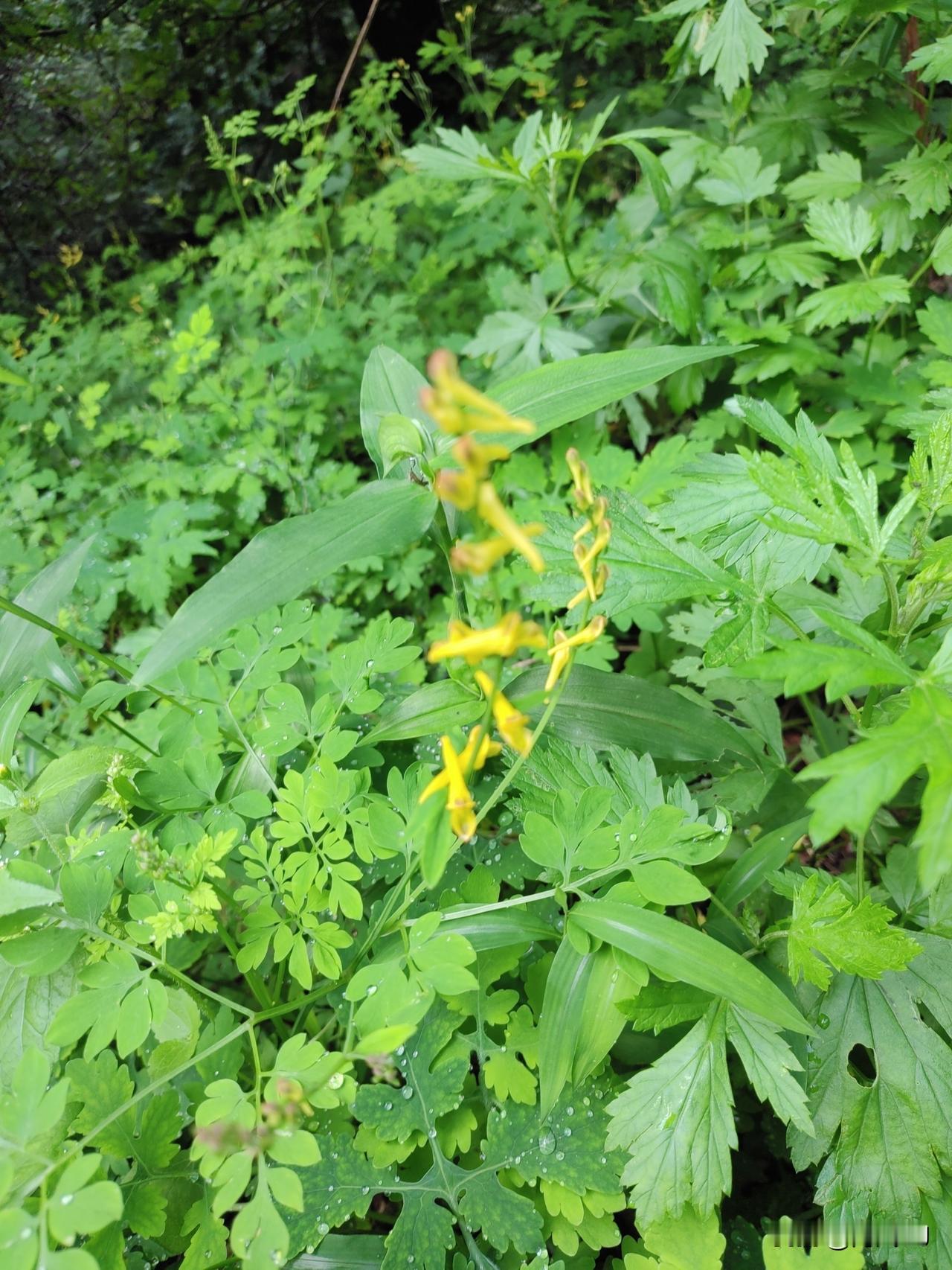 金钱除外，当下人们最缺的是什么死气沉沉这是当下人们的生活现状，你看外出旅行的少了