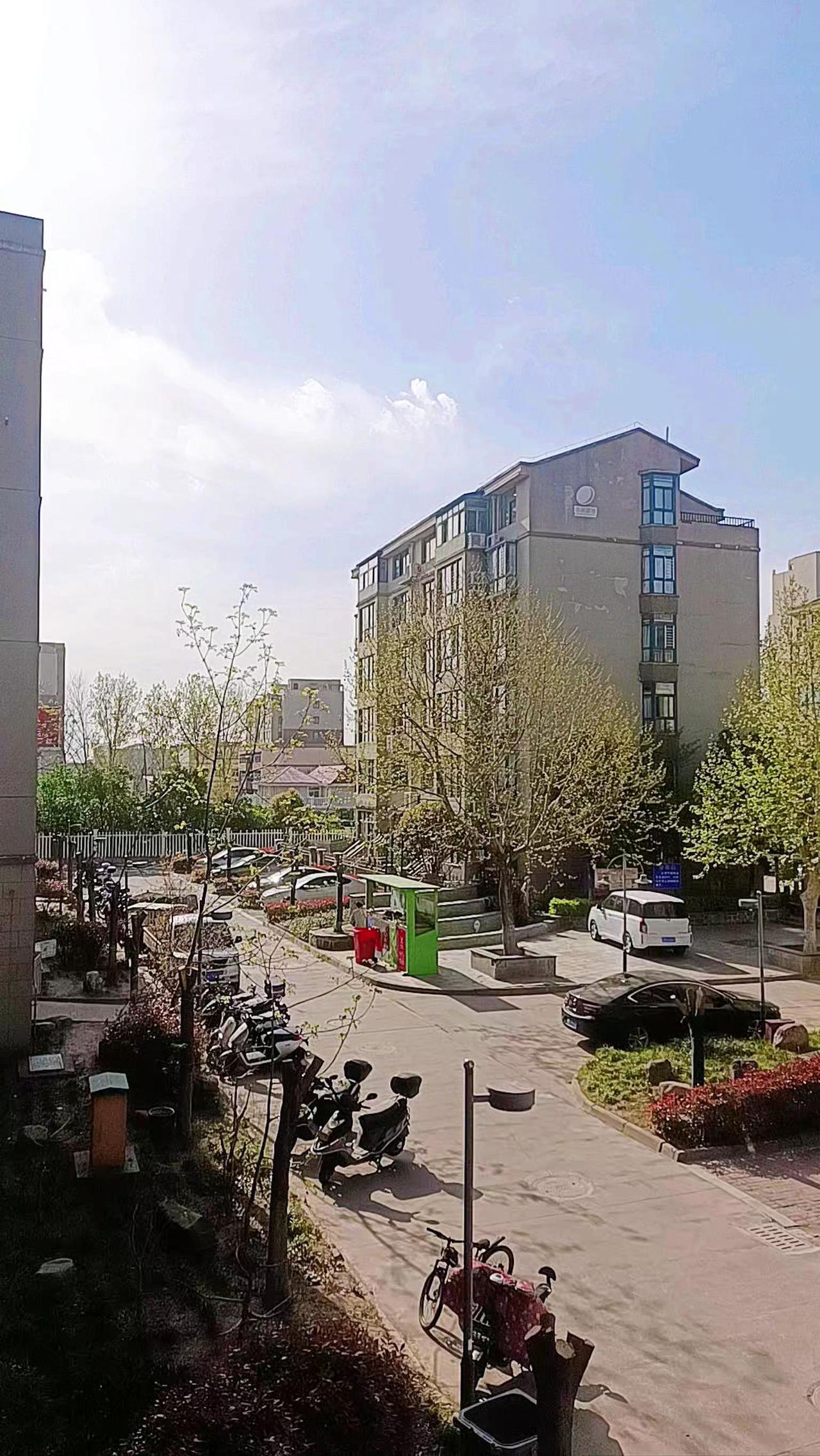 我的图片 随变ai随便玩