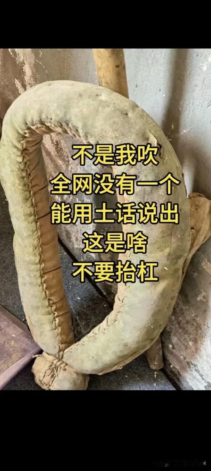 这样的东西，我从来就没有看到过，你让我说是什么，这不是明摆着拿我开涮吗？