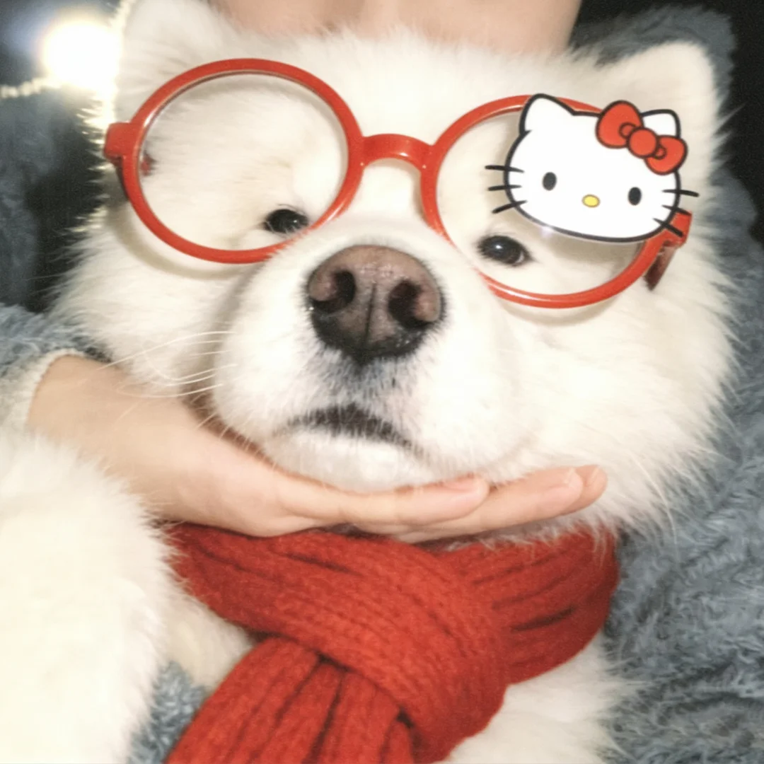 hello，头像本人，认识一下吗