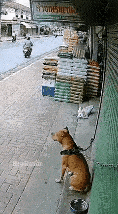 美伊矛盾冲突已经不可能通过谈判来解决了，只要干不死，就往死里干成为主要战略。
