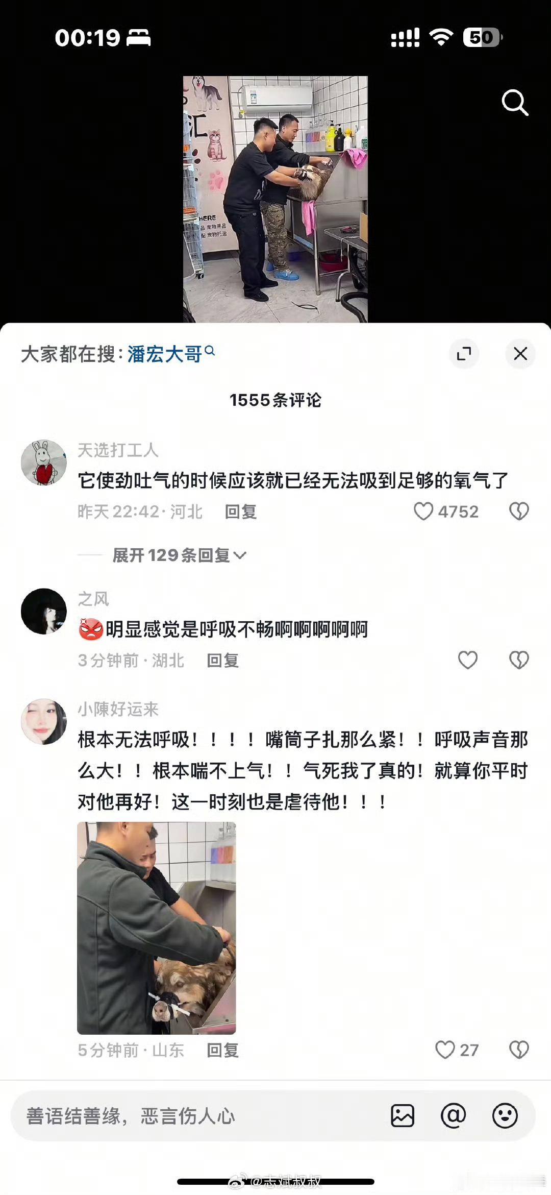 wc！给狗洗澡上扎带，这不是虐狗是啥[汗]抖音平台还让这样的人火起来，应该多扶持