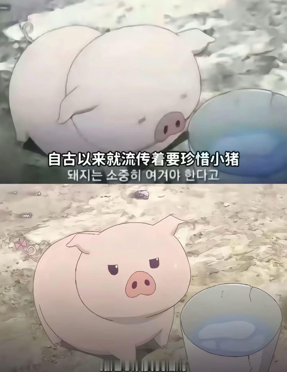 恩！ 