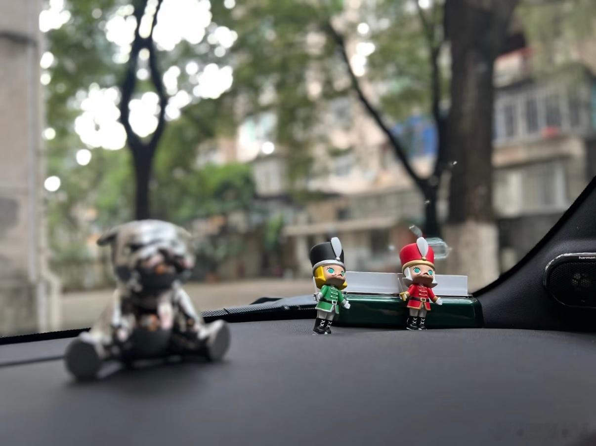 不要在车里放小玩偶了555，真的要告别这些可爱的小玩偶了，毕竟安全永远比颜值更重