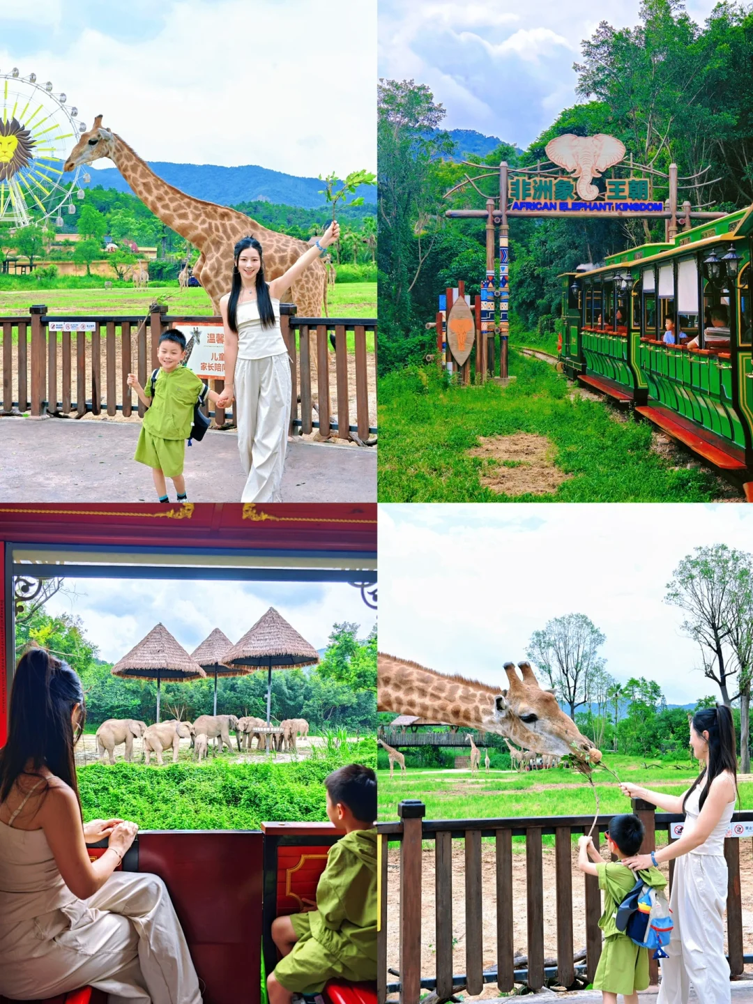 轻松遛娃秘诀？清远长隆的动物带娃太有经验