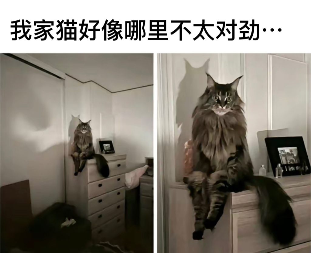 挺正常啊#今日memes##趣过夏天# ​​​