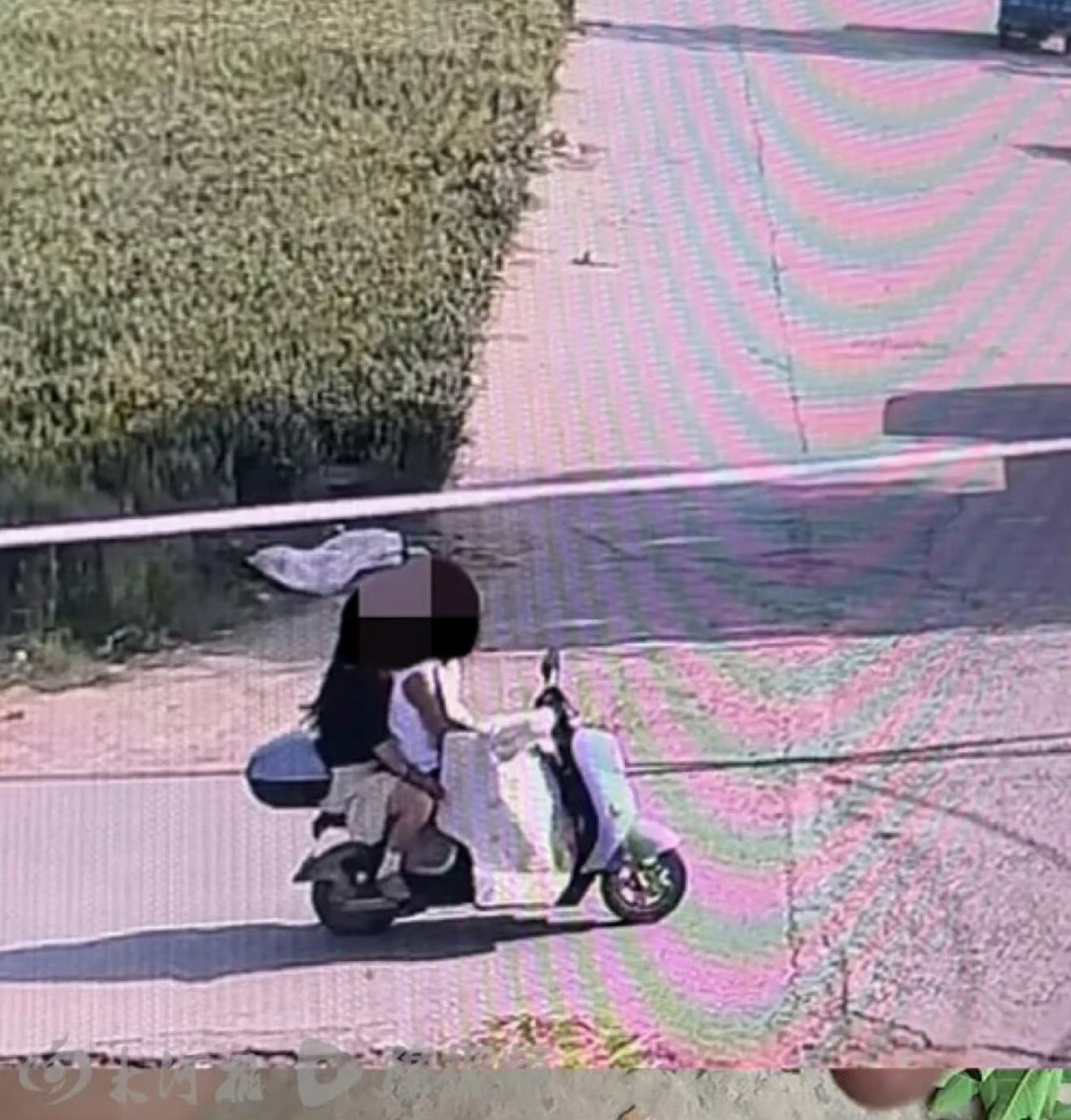 狗栓绳了吗？狗在院里了吗？如果没栓绳？如果在街上溜达，那跟流浪狗有啥区别？有监控