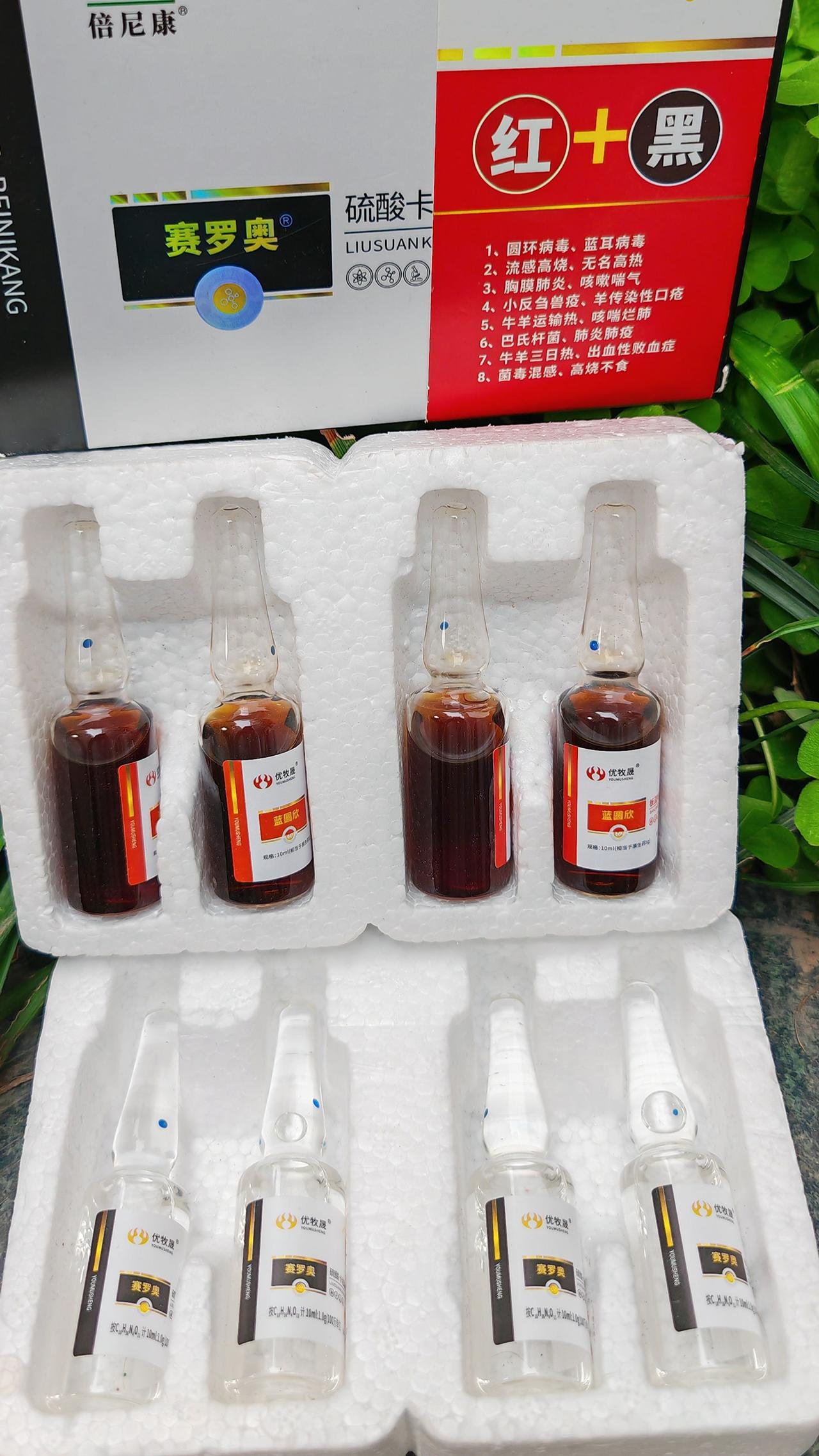 养羊人 农村养羊 牛羊养殖