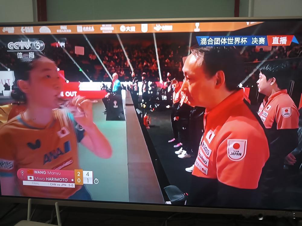 张本这一家子，这回算盘是真打碎了。
回成都老家想衣锦还乡？
结果是被国乒按在