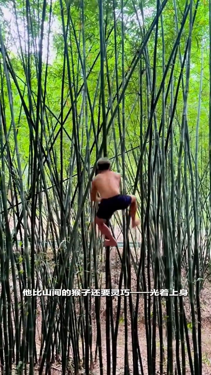 杆上飞人，8岁习武追梦。
真是牛人不走寻常路。视频里一名男子带着两条牧羊犬在封闭