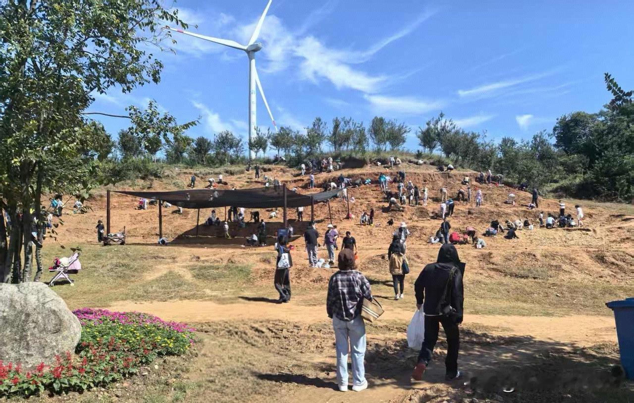 今天终于出太阳了，心情也跟着明朗起来。
 
明天就要动身去上海，除了收拾行李，还