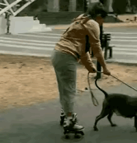 图1：对狗子如此的信任，是怎么做到的啊？#妙笔生花创作挑战#