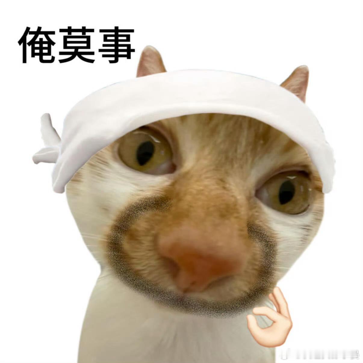 被班味腌入味的小猫be like 