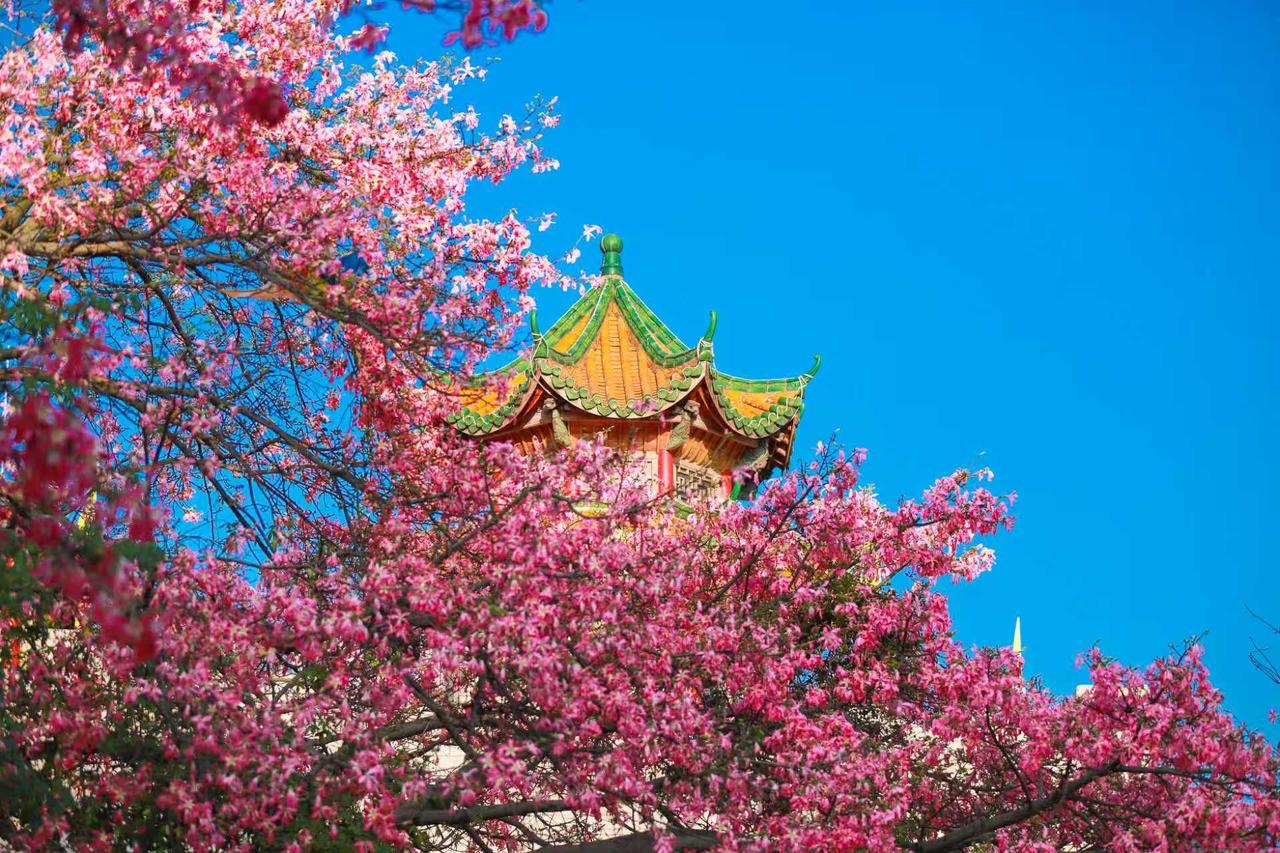 东莞人年末必冲！东莞观音山登高迎新，许愿接福，讨个新年好彩头！ 
大家年初在东莞