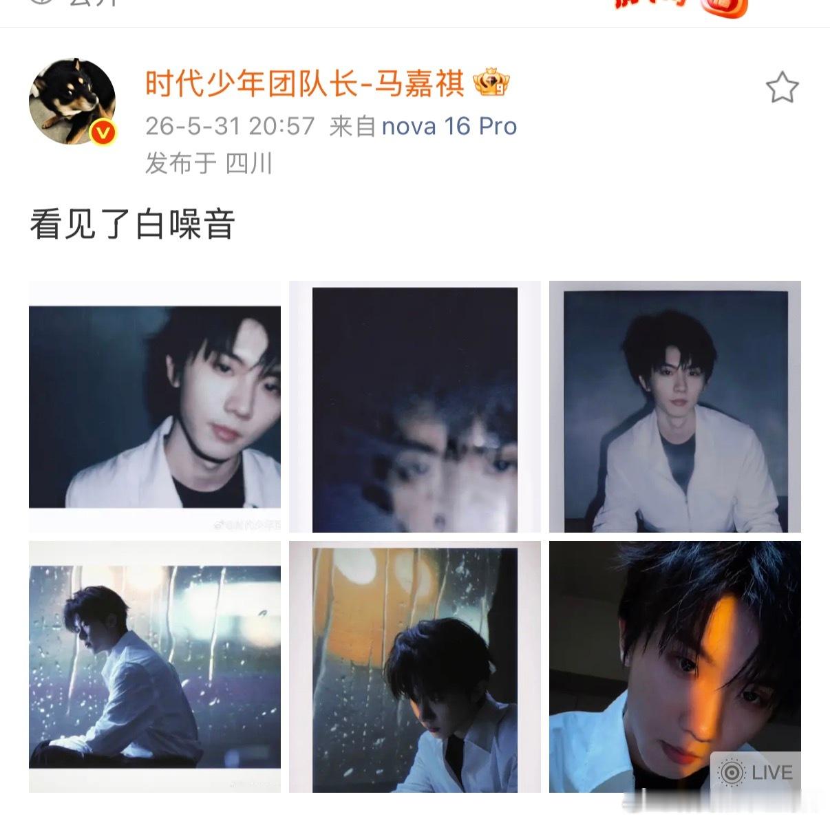 马嘉祺看见了白噪音 