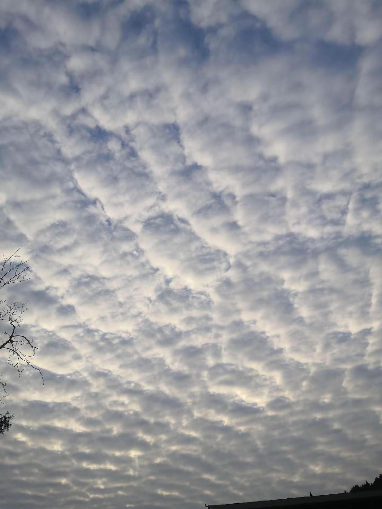 乡间田野风景 自然风景 看日出 家乡的田野 航拍家乡美景