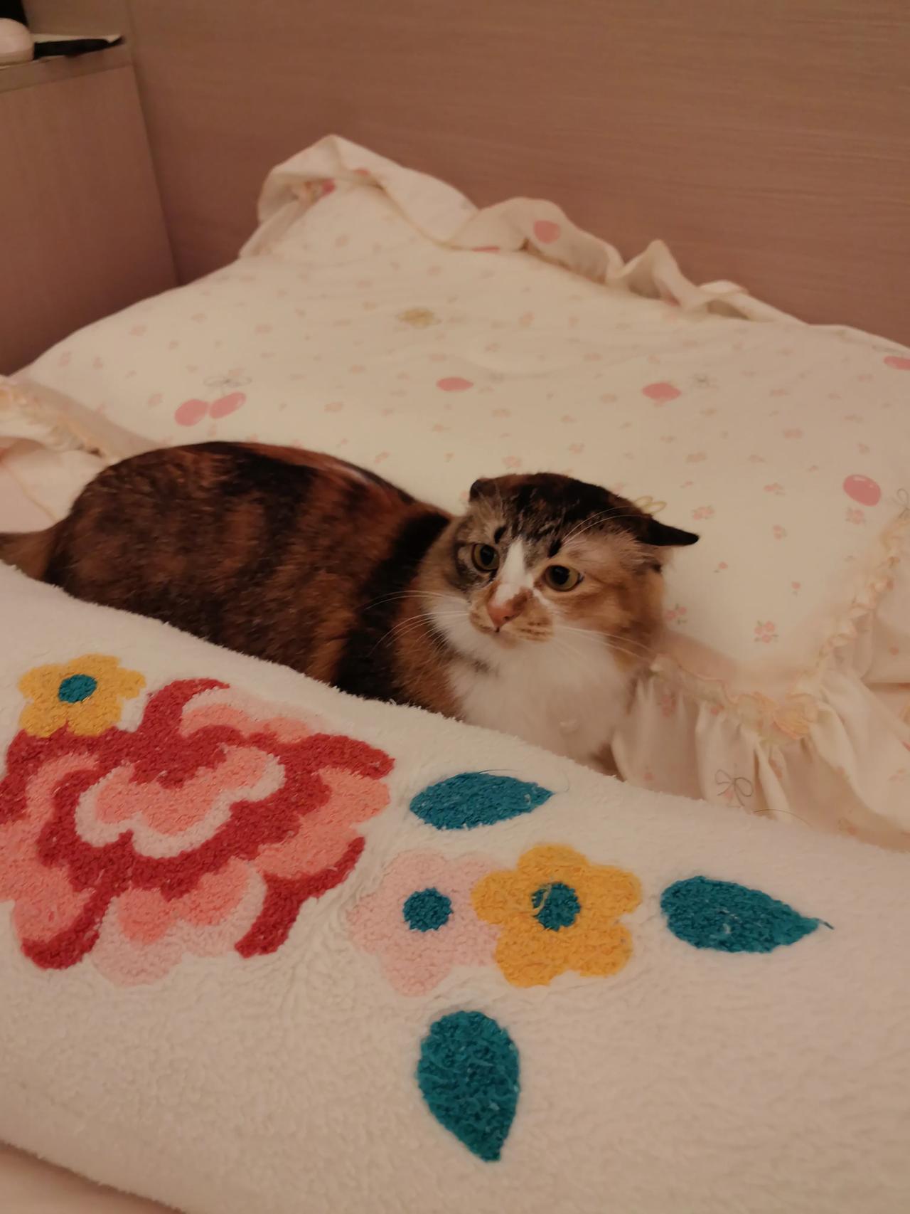 人活一辈子，金钱与健康，哪个重要都很重要呀哈哈h哈哈哈哈哈哈哈哈哈哈哈哈哈hhh