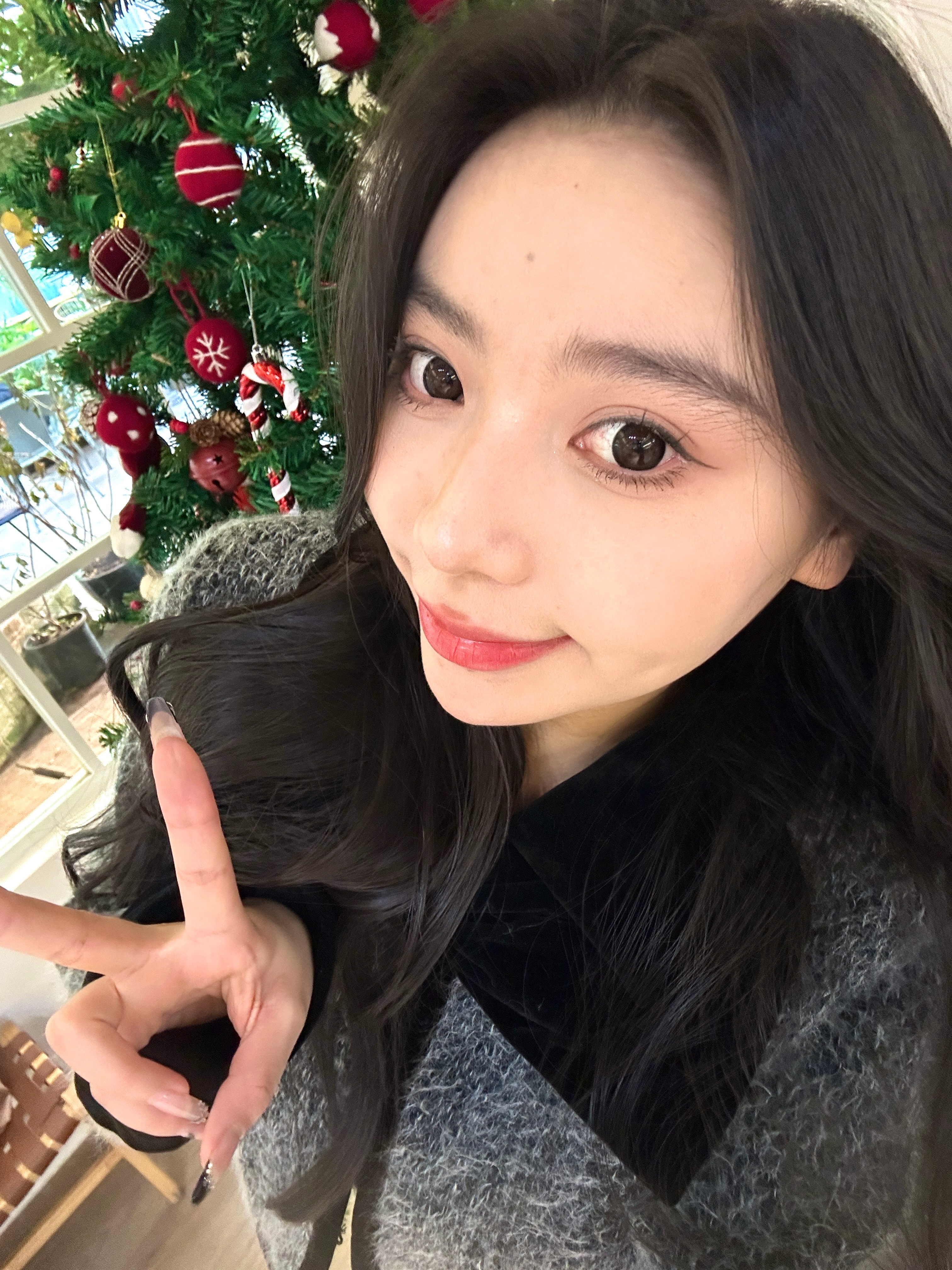 遇到圣诞树🎄  ​​​