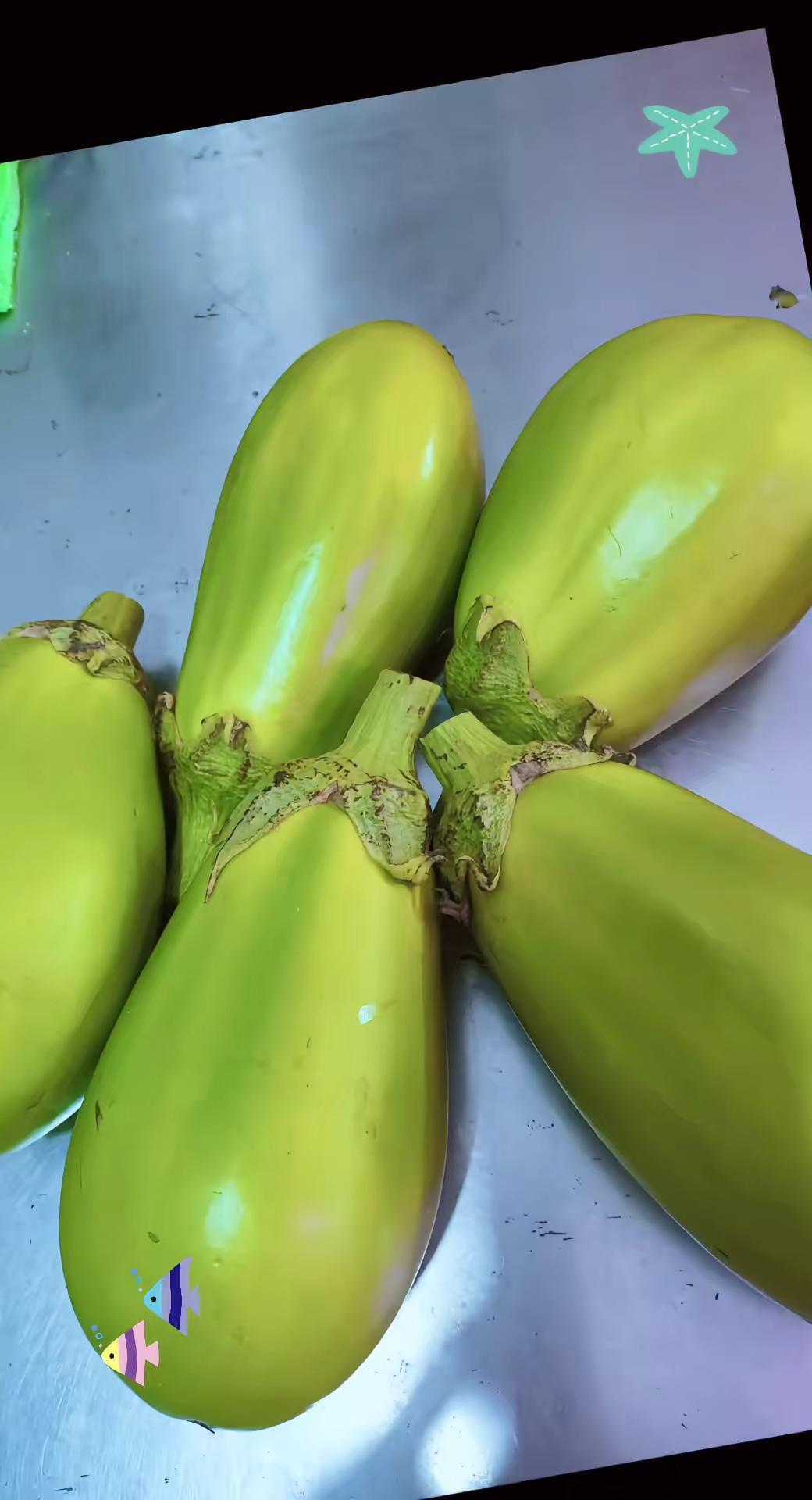 自己种菜，安全又可靠 刚摘的茄子