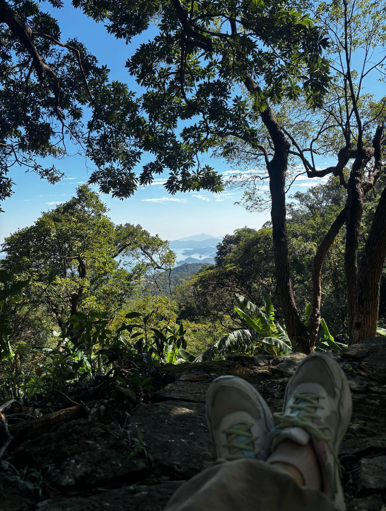 恩上湿地公园
适合户外的天气
纯蓝天
纯治愈
纯散步路线
海山地铁站-海山线巴士