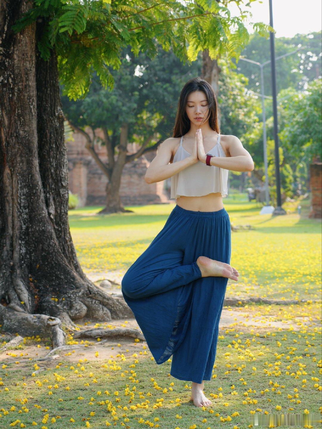 大城府老城区的一片树荫下，一地黄花很有氛围感。泰兰德旅行还没发完图片瑜伽城市运动