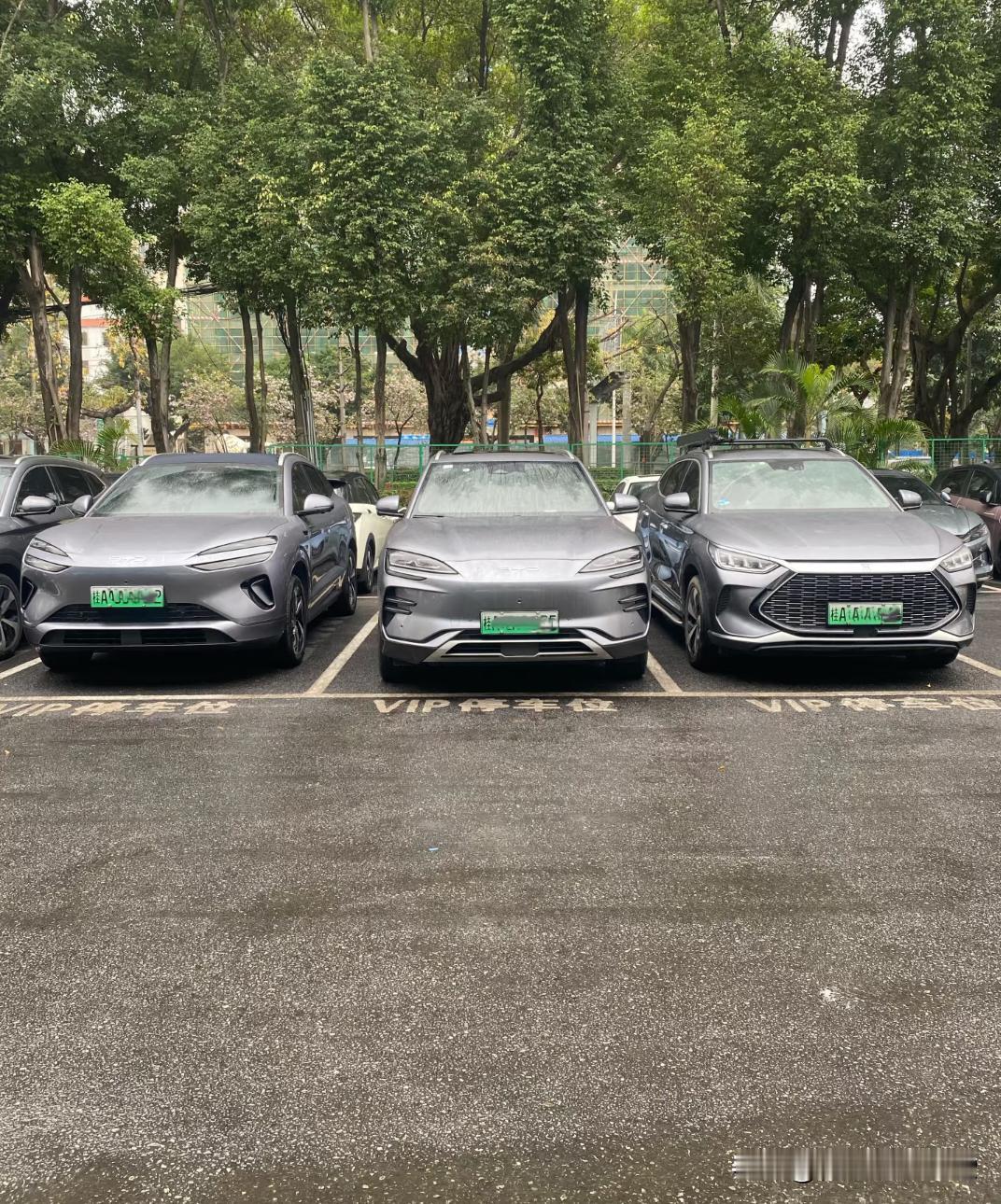 这三辆比亚迪的灰色电车，乍一看还真长得像三兄弟