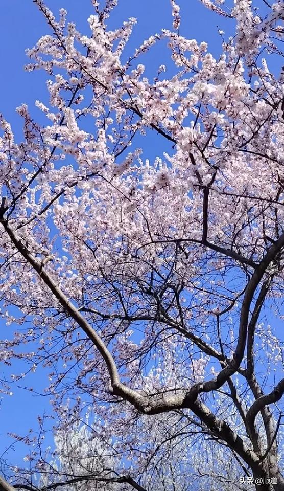 我就喜欢看头条上征婚找老伴儿的。尤其是底下附照片的。
刚刚又看到一个女的征婚，1