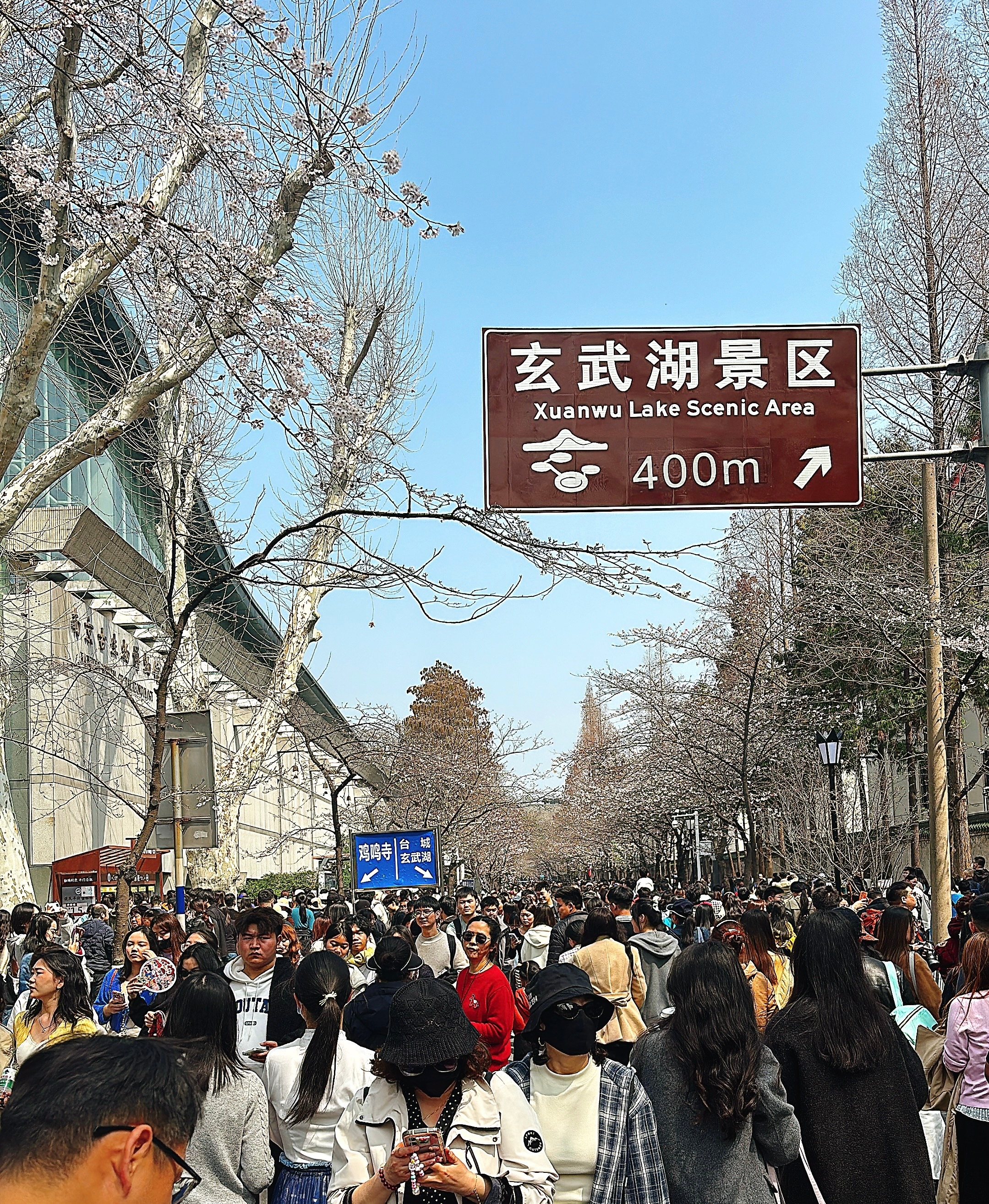 终于来鸡鸣寺打卡了，信女求演唱会门票🙏一开始小伙伴说不好意思，结果一回头周围怎