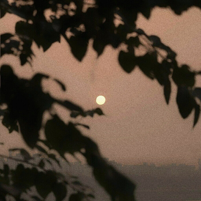 我有一瓢酒，可以慰风尘。丨韦应物 ​​​