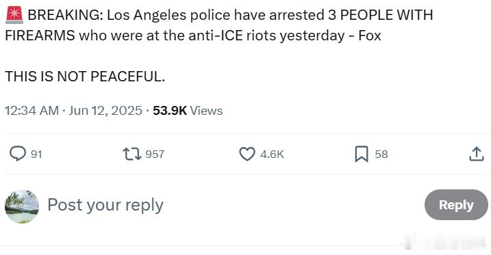 洛杉矶警方逮捕了3名携带枪支的人，他们昨日参与了反ICE骚乱。这不是和平的“抗议
