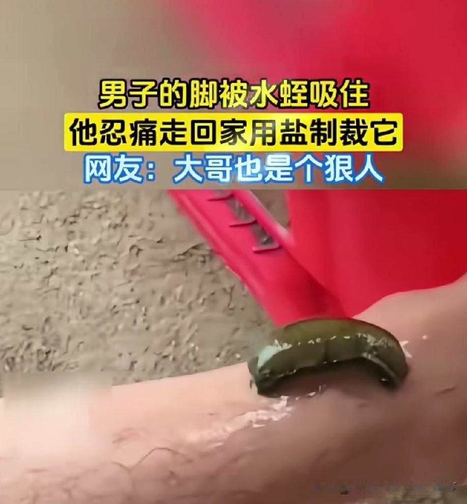 大哥是个狠人[捂脸]不过这也是我童年的阴影，下水田插秧时，过一会就要看看腿，害怕