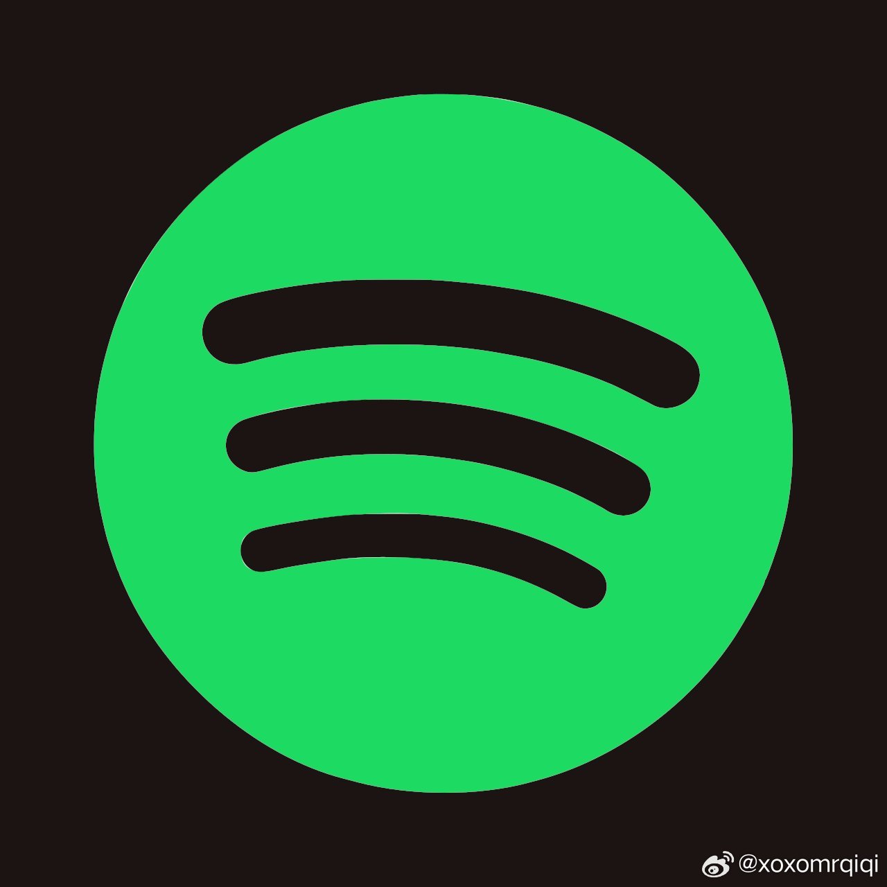 Spotify 平台全新上线全球每日音乐录影带榜单。 