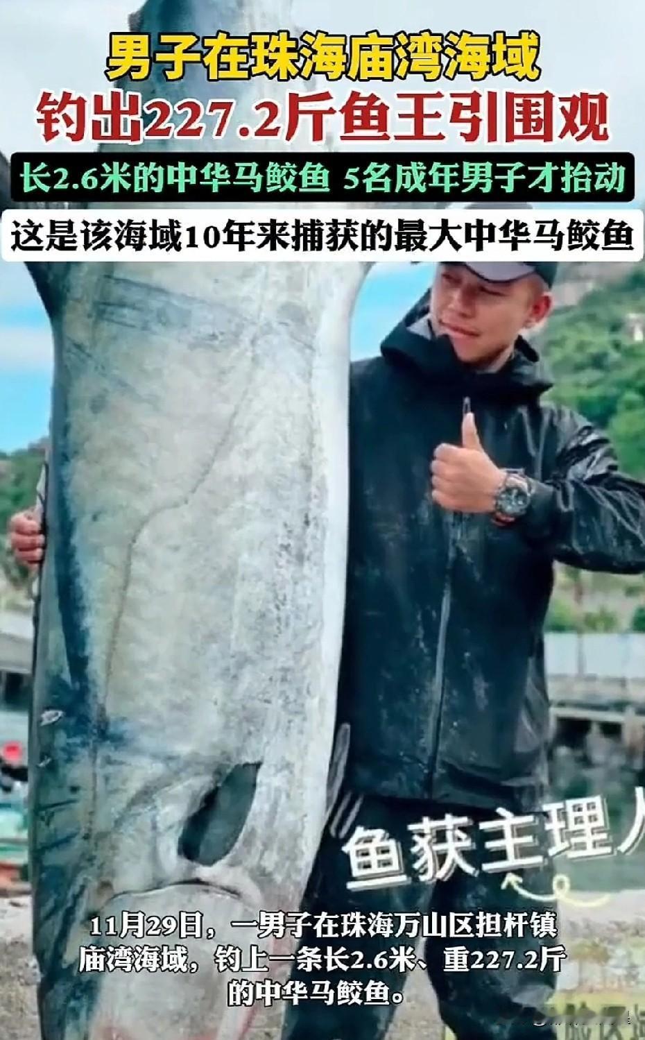 这也太厉害了吧！男子钓到了227斤大鱼，都用了吊车过来帮忙了！
在2025年11