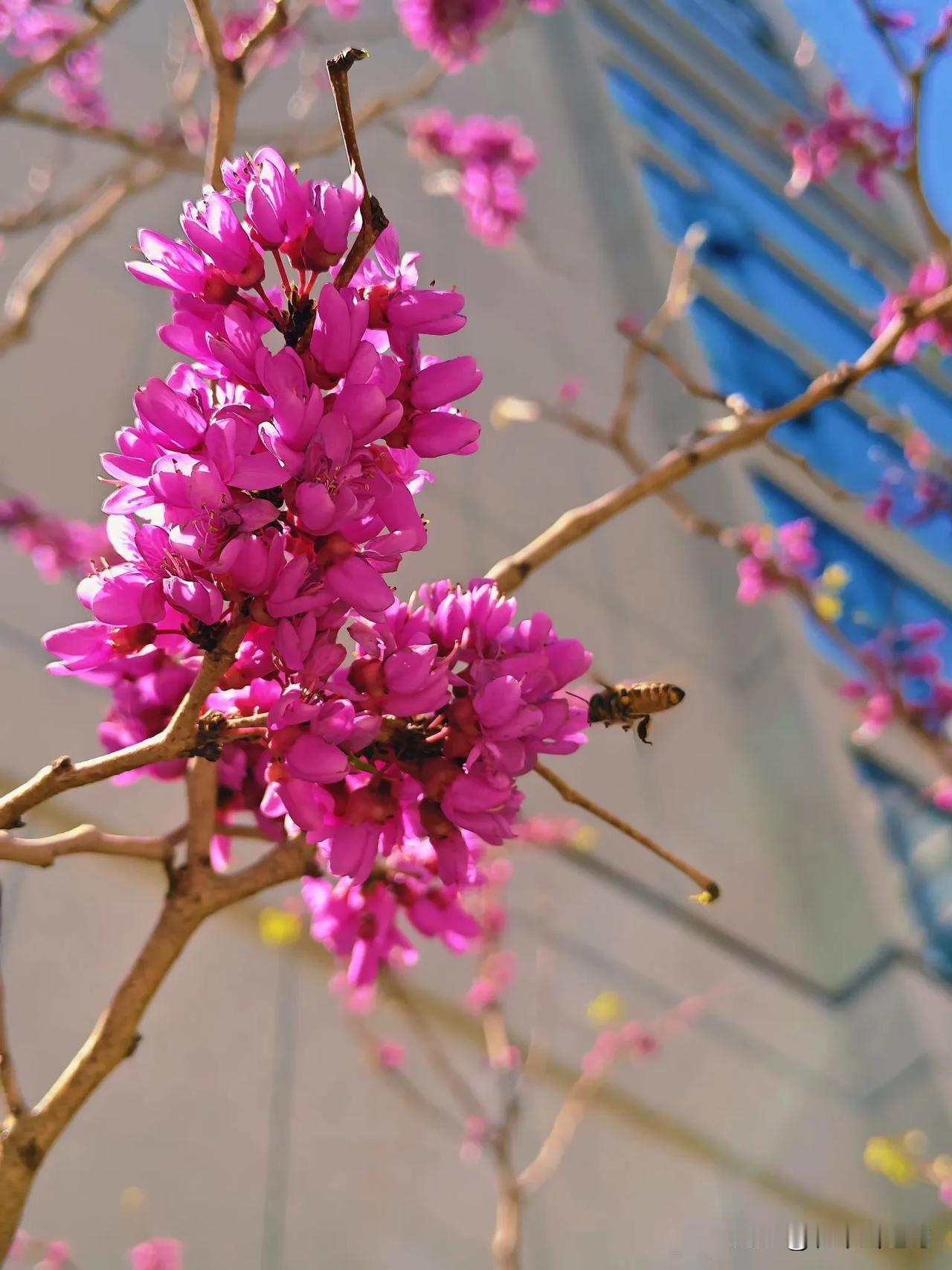 不论处于何种境地，不要自我设限，相信总都能找到一种方法帮助我们解决问题、摆脱困境