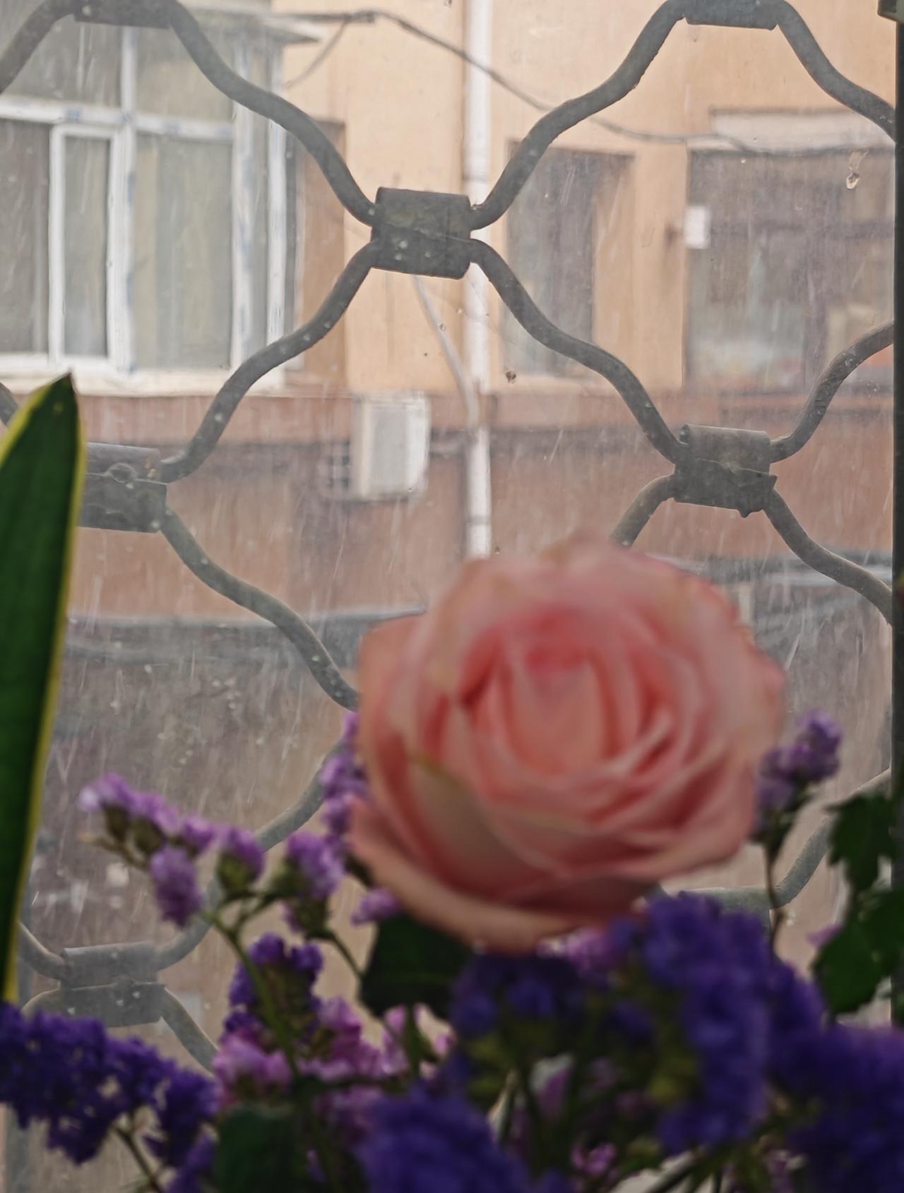 四月飞雪～周五了开始清明假期 ​​​