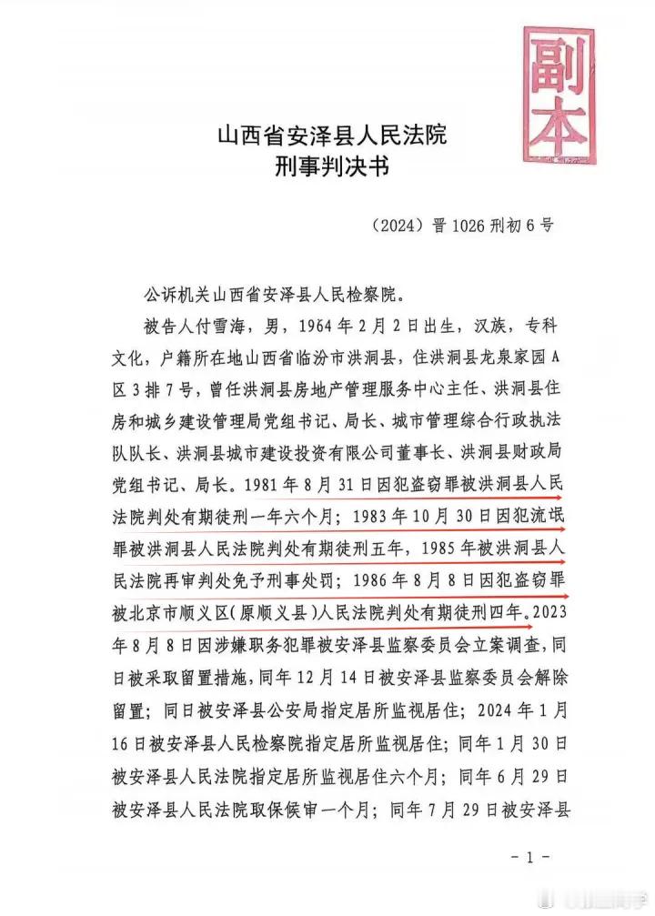 男子两次获刑入狱仍进当上局长，“罪犯升官”并非付雪海一人，既然有漏洞，就应排查是