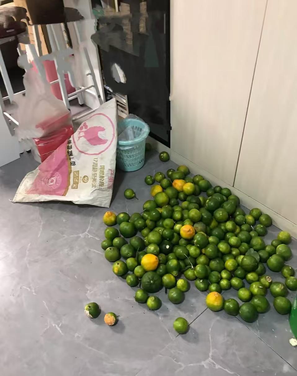 本来下班想放松，结果回家面对一屋子狼藉和腥臭味，哪怕知道是婆婆的心意，也忍不住想