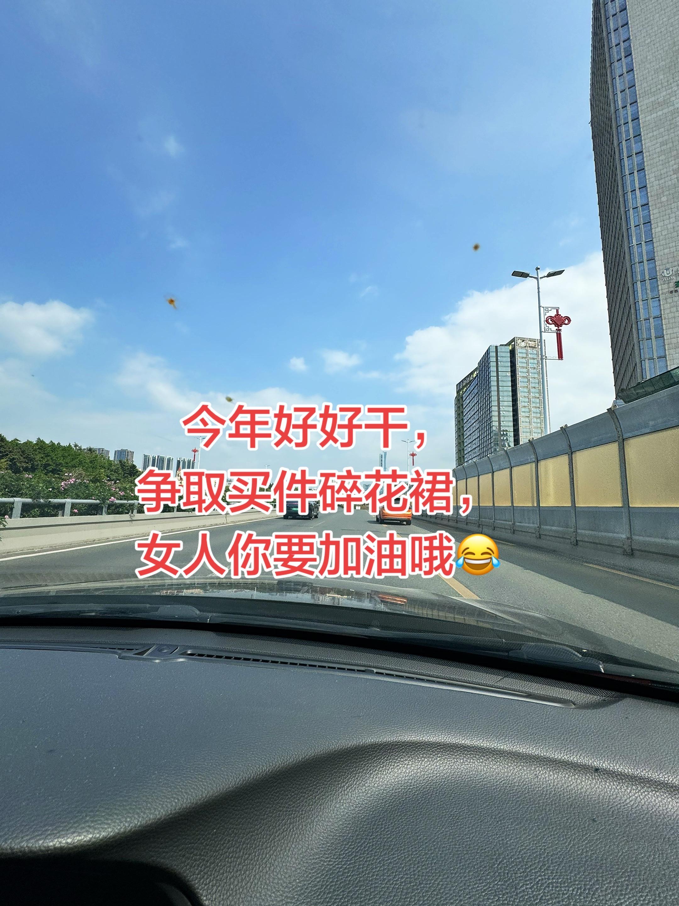 “今年好好干，争取买件碎花裙，polo衫的深情”