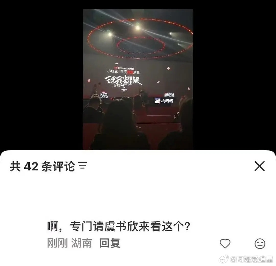 虞书欣在下面坐着，台上放的赵露思的许我耀眼是年度剧集王竹林四侠彻底be了