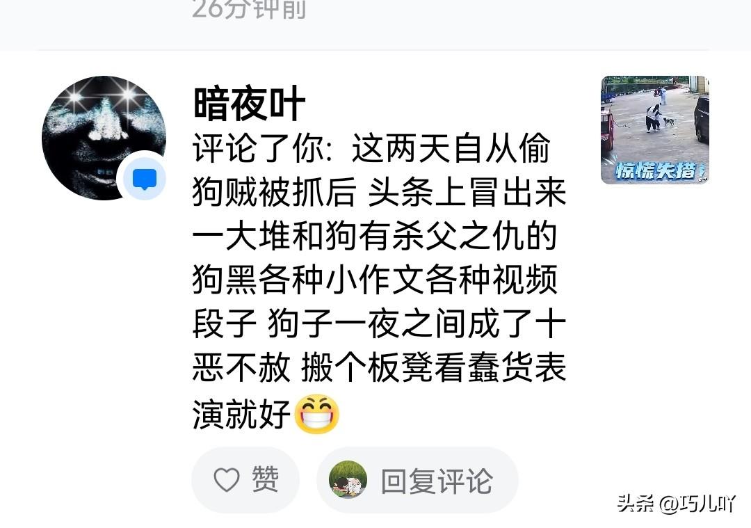 我最近几天不是一直在写狗伤人事件和狗患的问题吗？百分之九十九的网友都在支持我，但