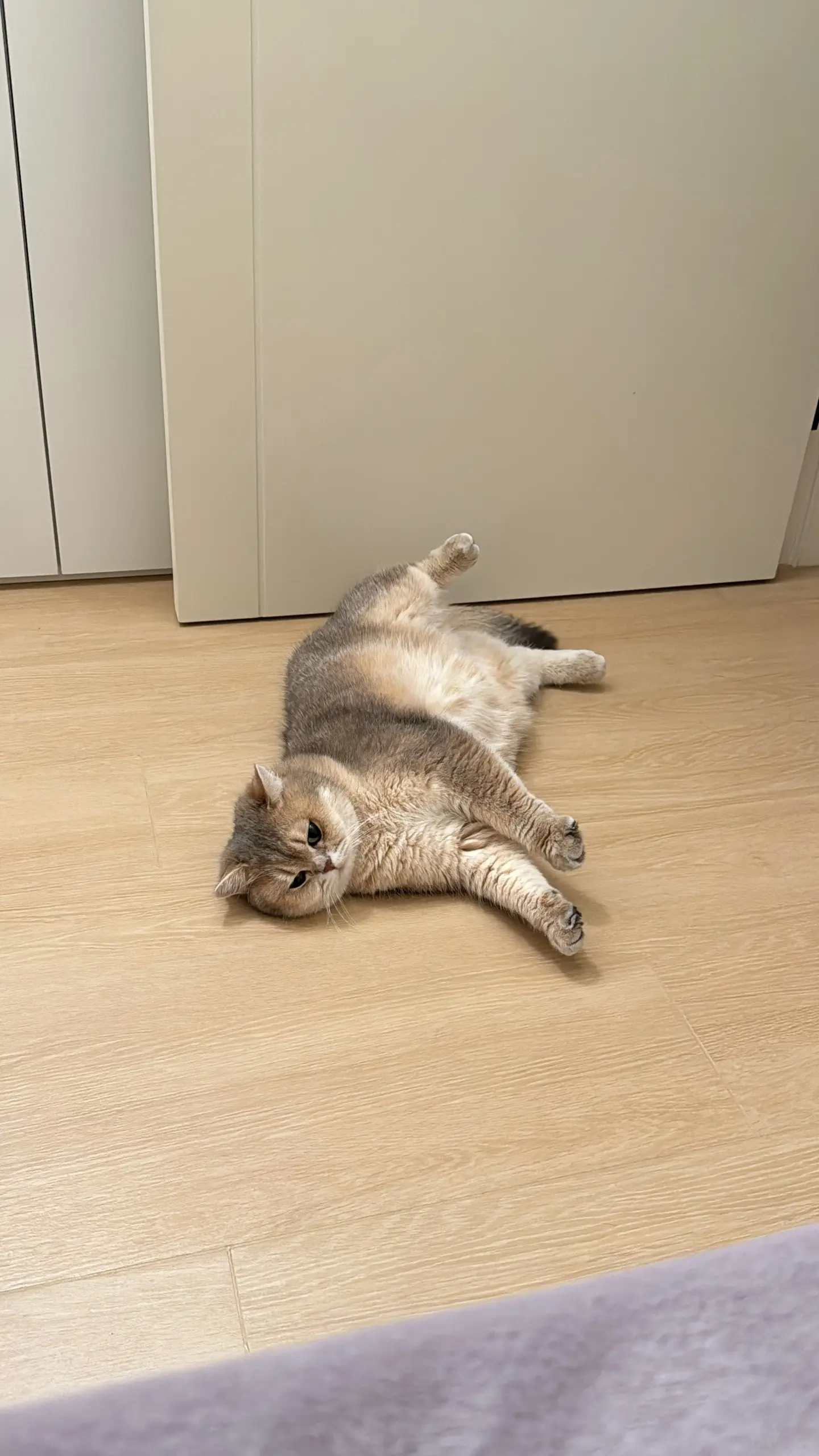 各种躺～