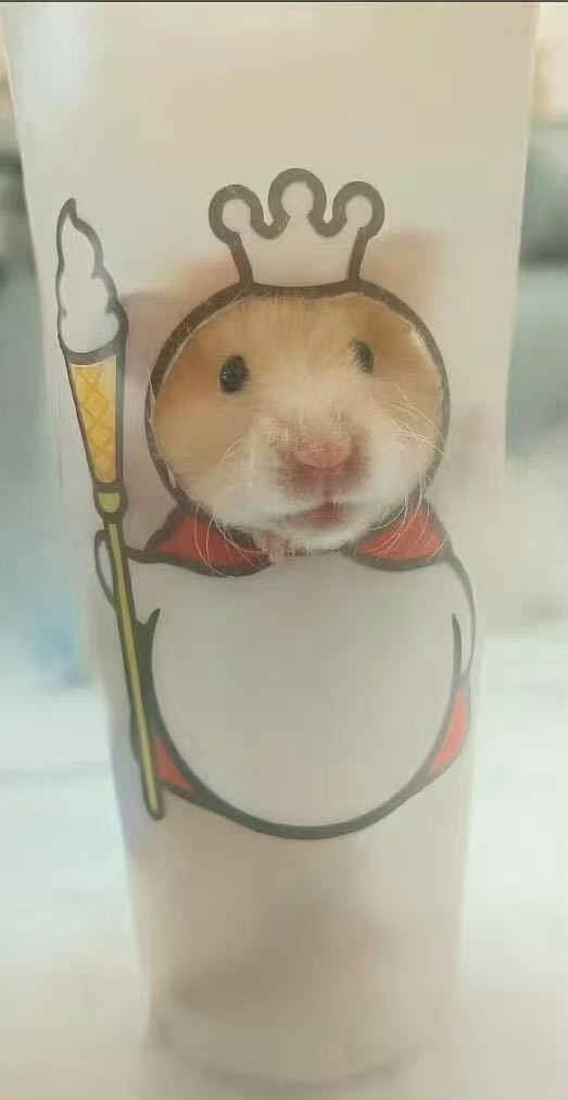 蜜雪冰城回应网友玩梗蜜鼠冰城看了下图片挺可爱的啊，但食物这东西和老鼠产生点联系确