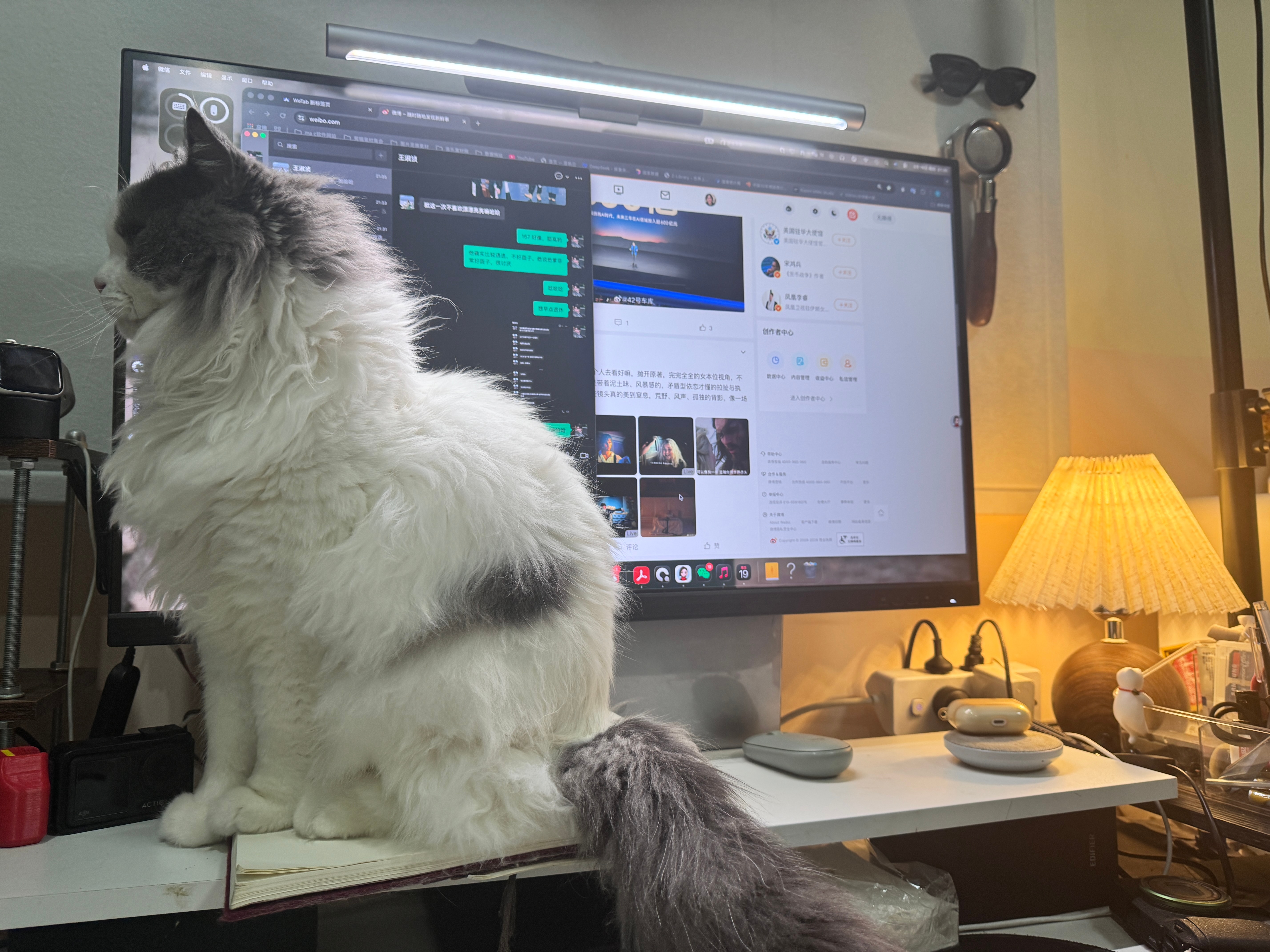 孩子能不能一边去玩，我要成迷网上冲浪🏄 